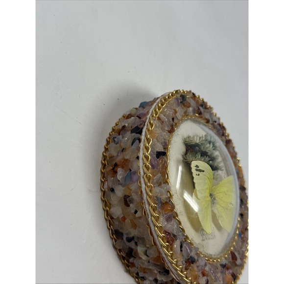 Vintage Real Butterfly Taxidermy Round Convex Glass Stone Box Brazil Brasil - Picture 2 of 7
